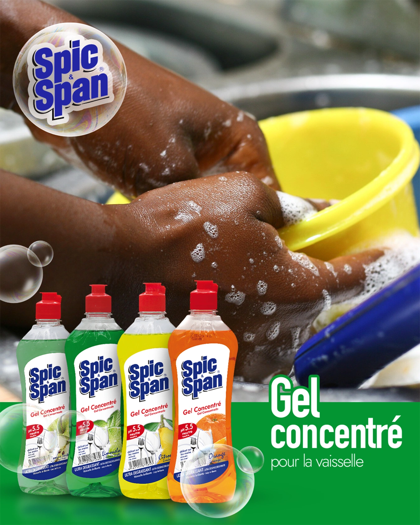 Visual create by EN7DESIGN